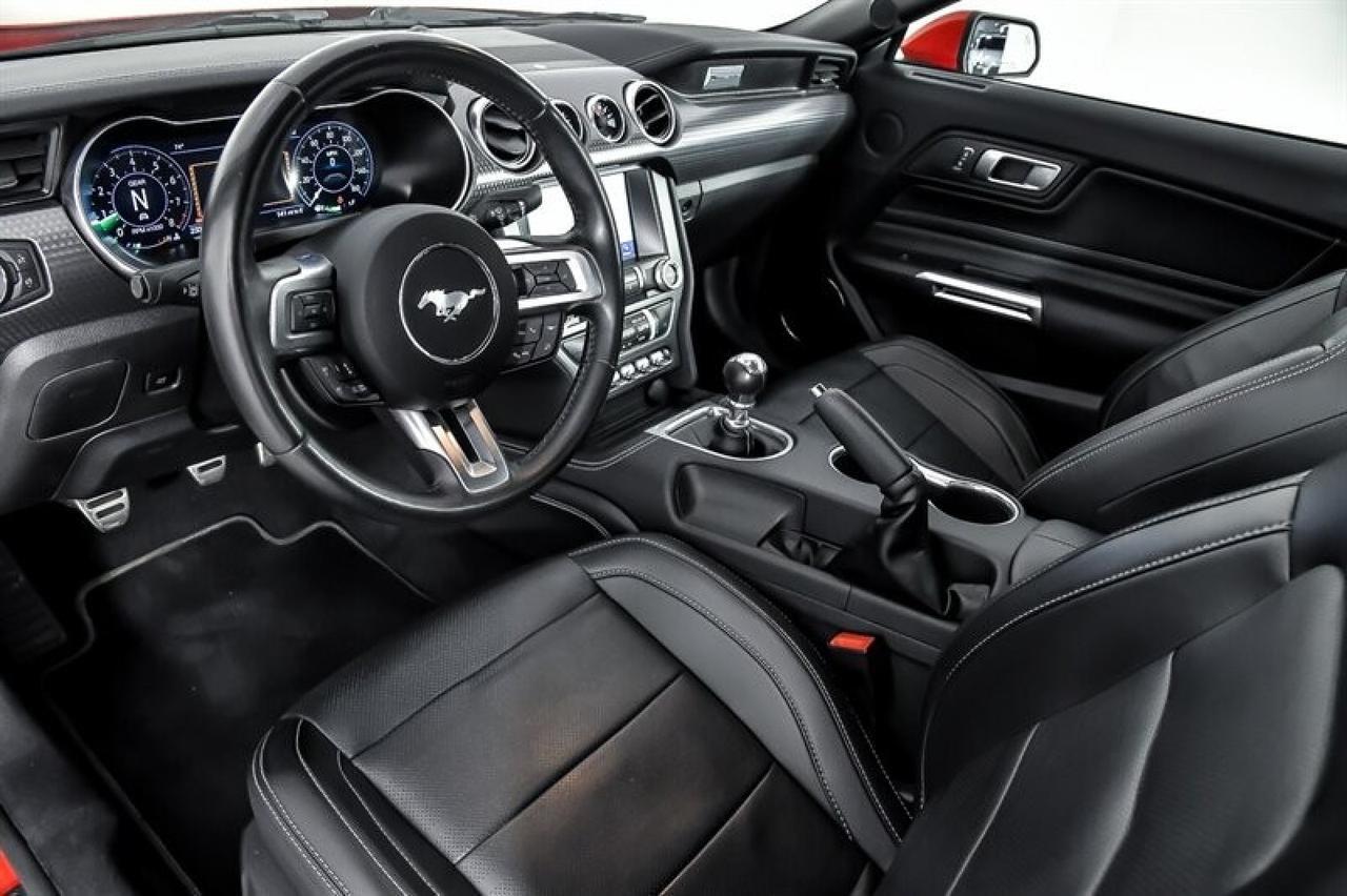 2019 Ford Mustang GT Premium Yonkers NY