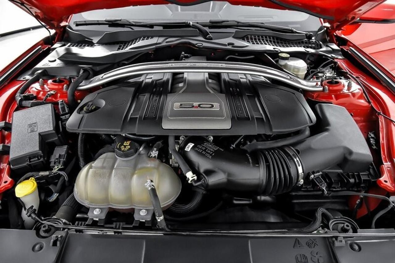 2019 Ford Mustang GT Premium Yonkers NY