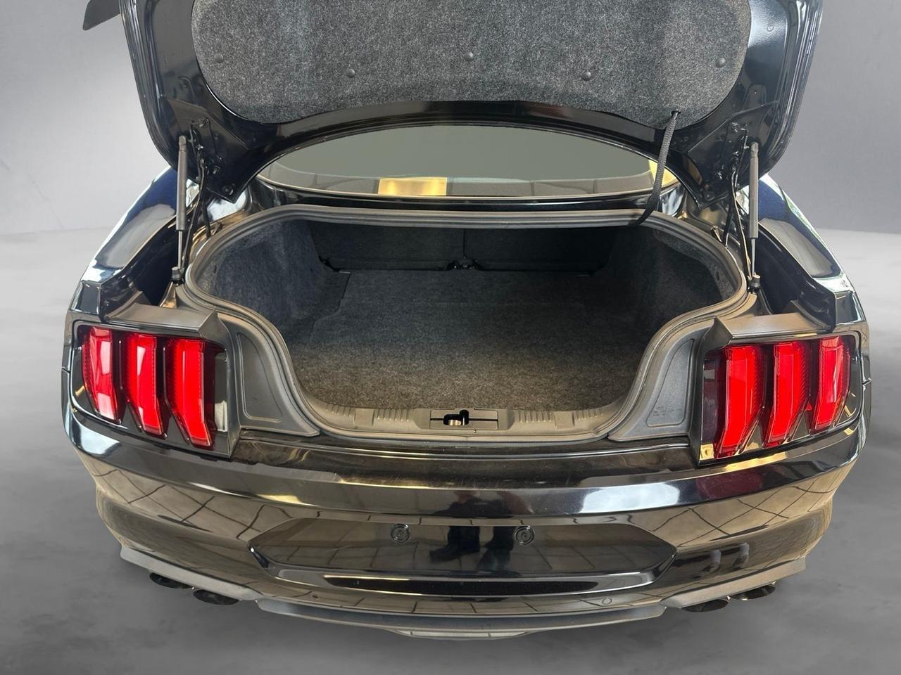 2019 Ford Mustang GT Premium Richmond VA