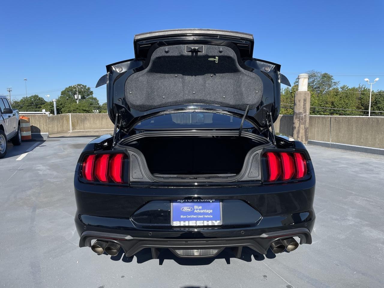 2019 Ford Mustang GT Premium Springfield VA