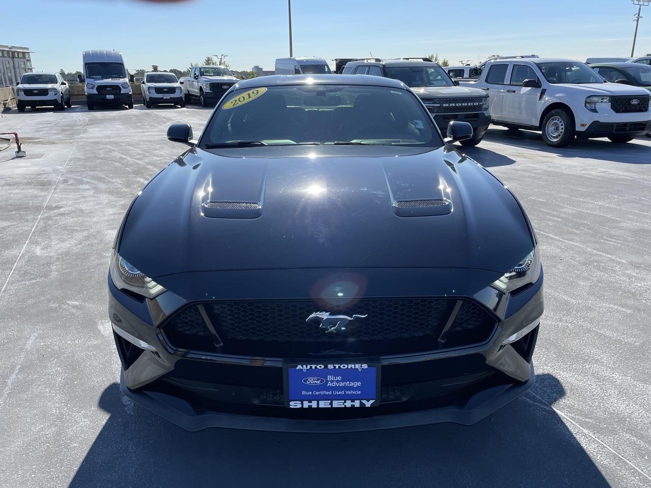 2019 Ford Mustang GT Premium Springfield VA