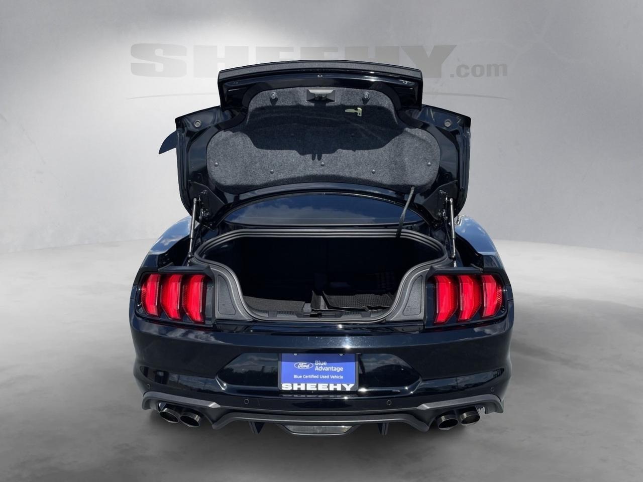 2019 Ford Mustang GT Premium Springfield VA