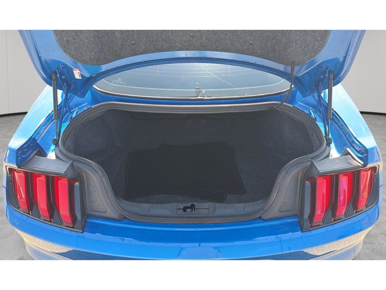 2019 Ford Mustang GT Sherwood Park AB