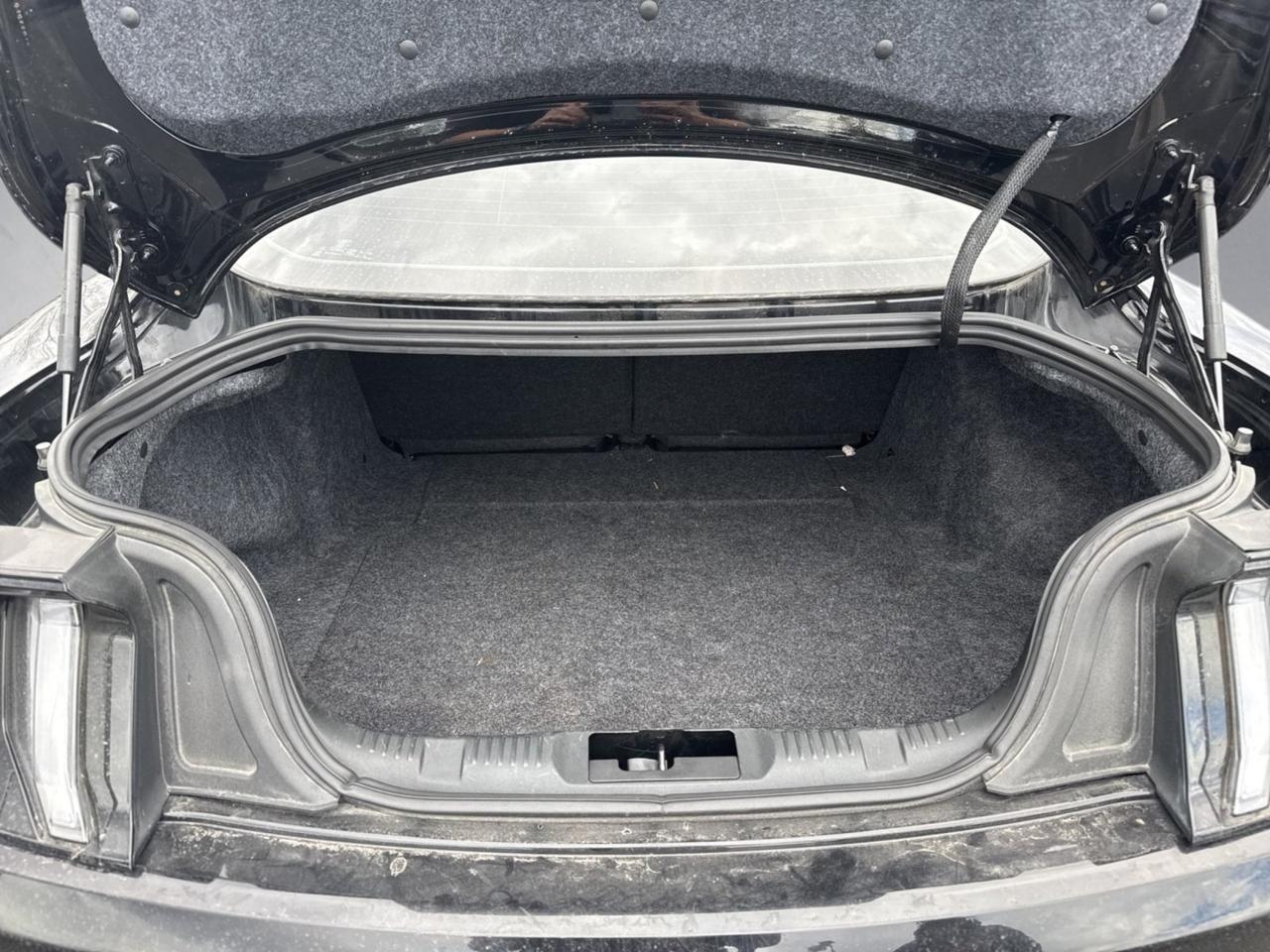 2019 Ford Mustang GT Richmond VA