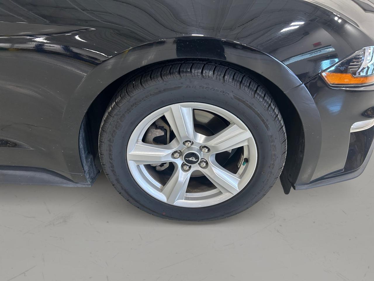 2019 Ford Mustang I4 New Braunfels TX