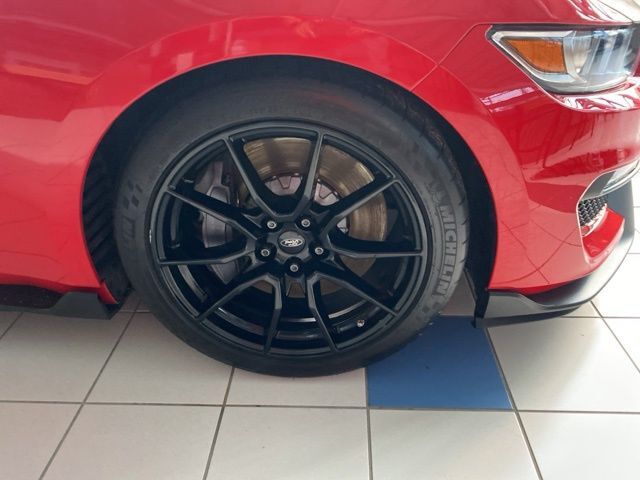 2019 Ford Mustang Shelby GT350 Raleigh NC