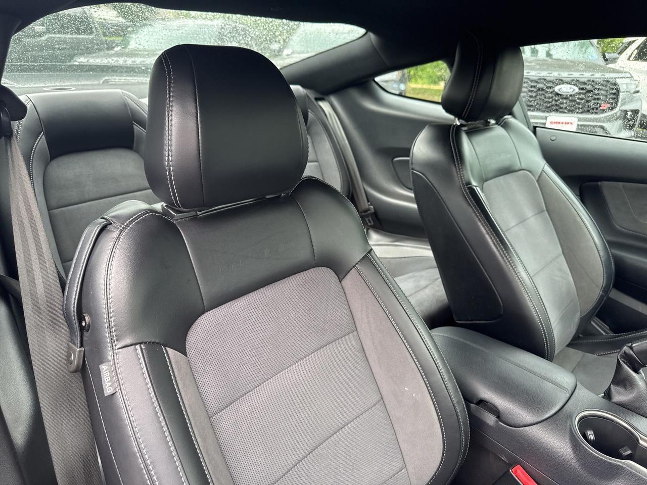 2019 Ford Mustang Shelby GT350 Warrenton VA