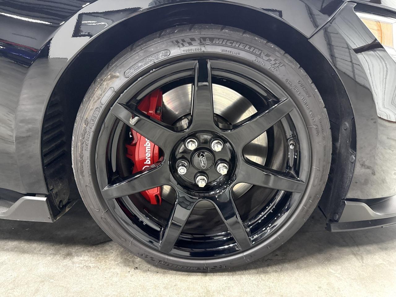 2019 Ford Mustang Shelby GT350R Houston TX