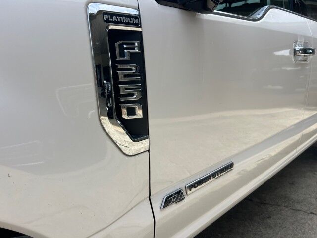 2019 Ford Super Duty F-250 Crew Cab 4WD Platinum Lafayette LA