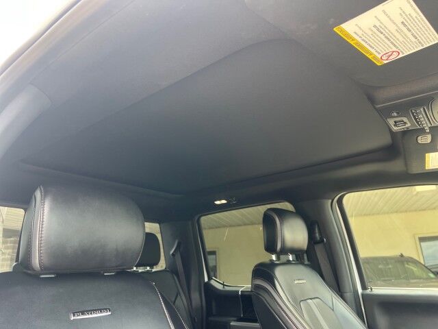 2019 Ford Super Duty F-250 Crew Cab 4WD Platinum Lafayette LA