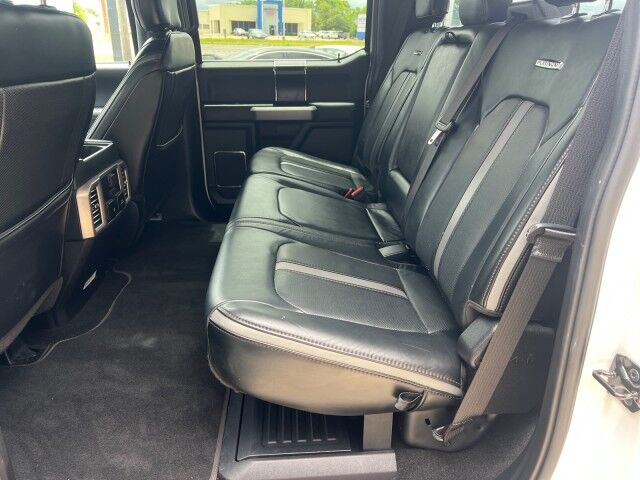 2019 Ford Super Duty F-250 Crew Cab 4WD Platinum Lafayette LA