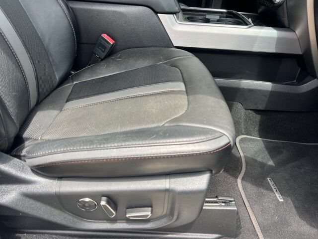 2019 Ford Super Duty F-250 Crew Cab 4WD Platinum Lafayette LA