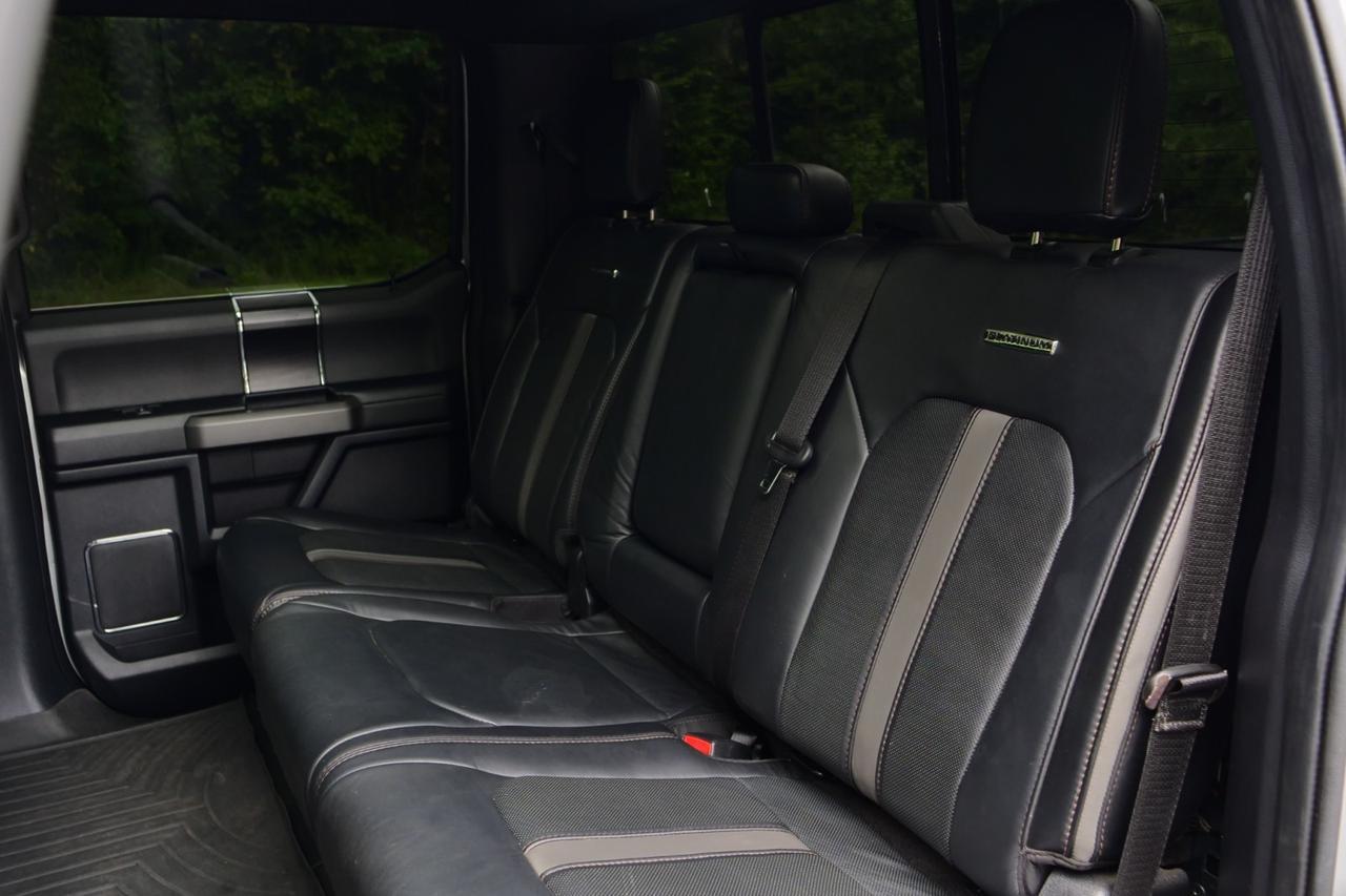 2019 Ford Super Duty F-250 Platinum 4X4 / Ultimate Package / 6.7L V8 Diesel! Lincolnton NC
