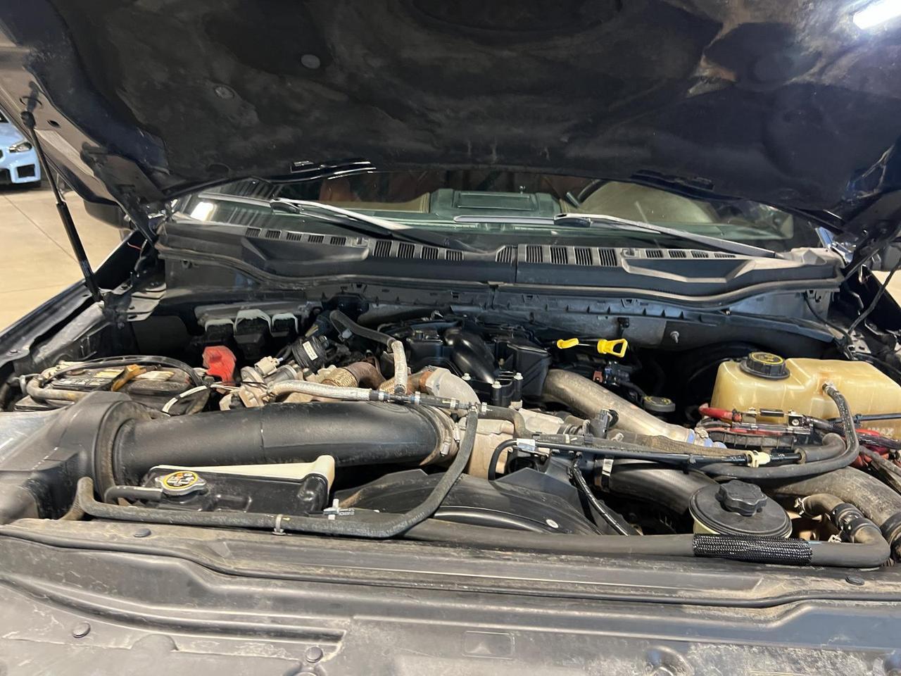 2019 Ford Super Duty F-250 SRW King Ranch Parker CO