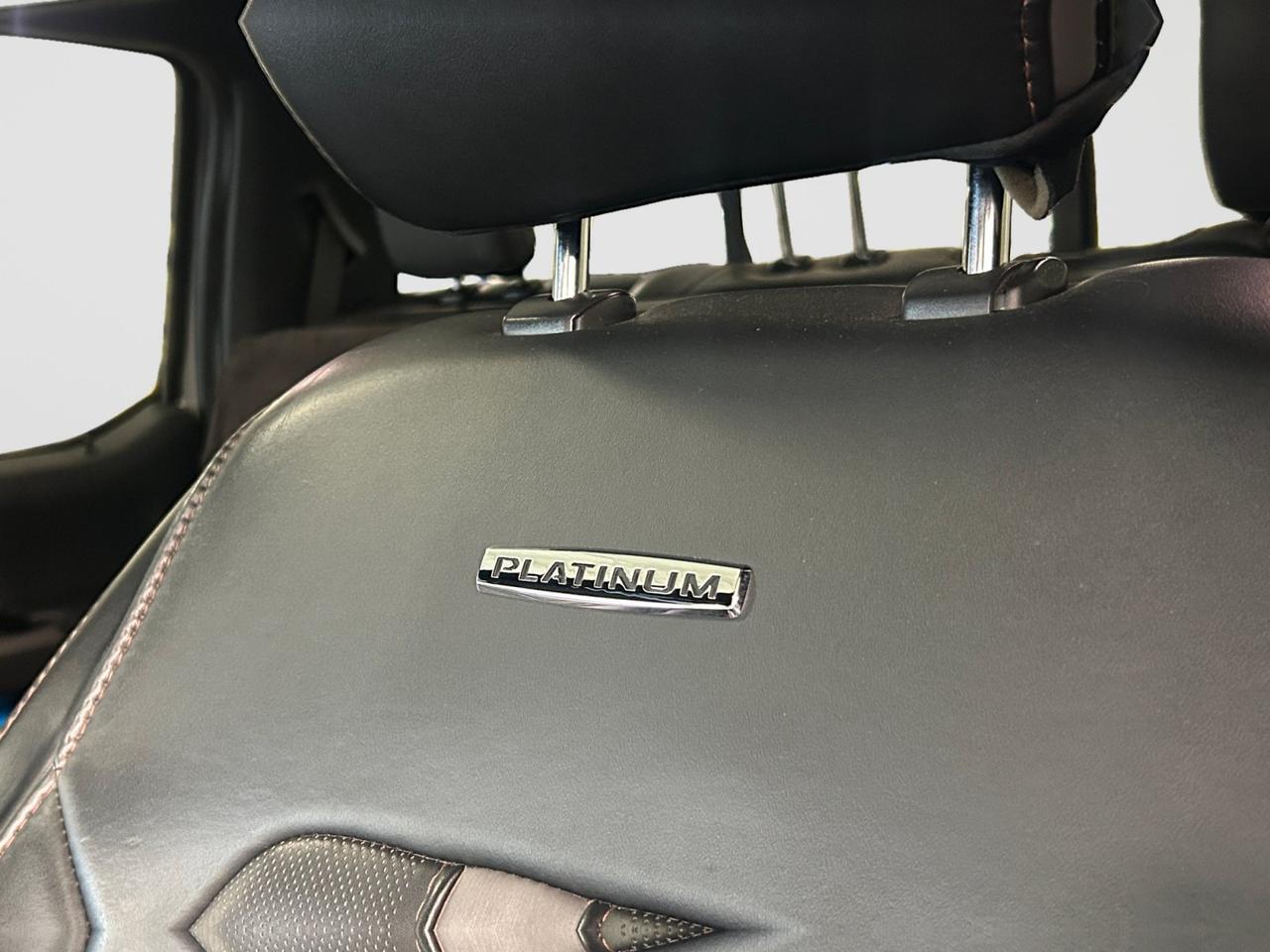 2019 Ford Super Duty F-250 SRW Platinum New Braunfels TX