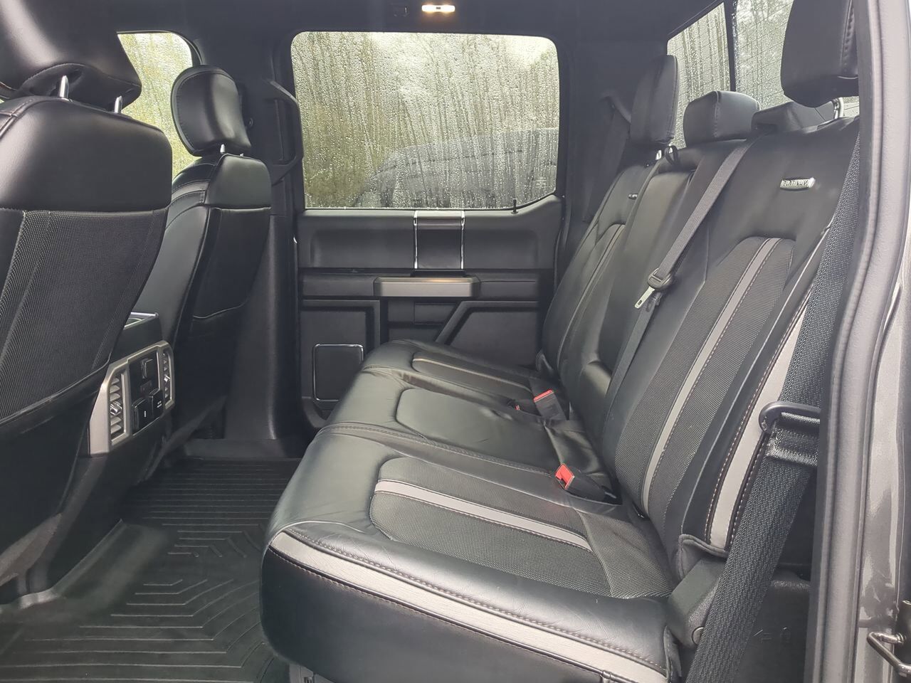 2019 Ford Super Duty F-250 SRW Platinum Winder GA