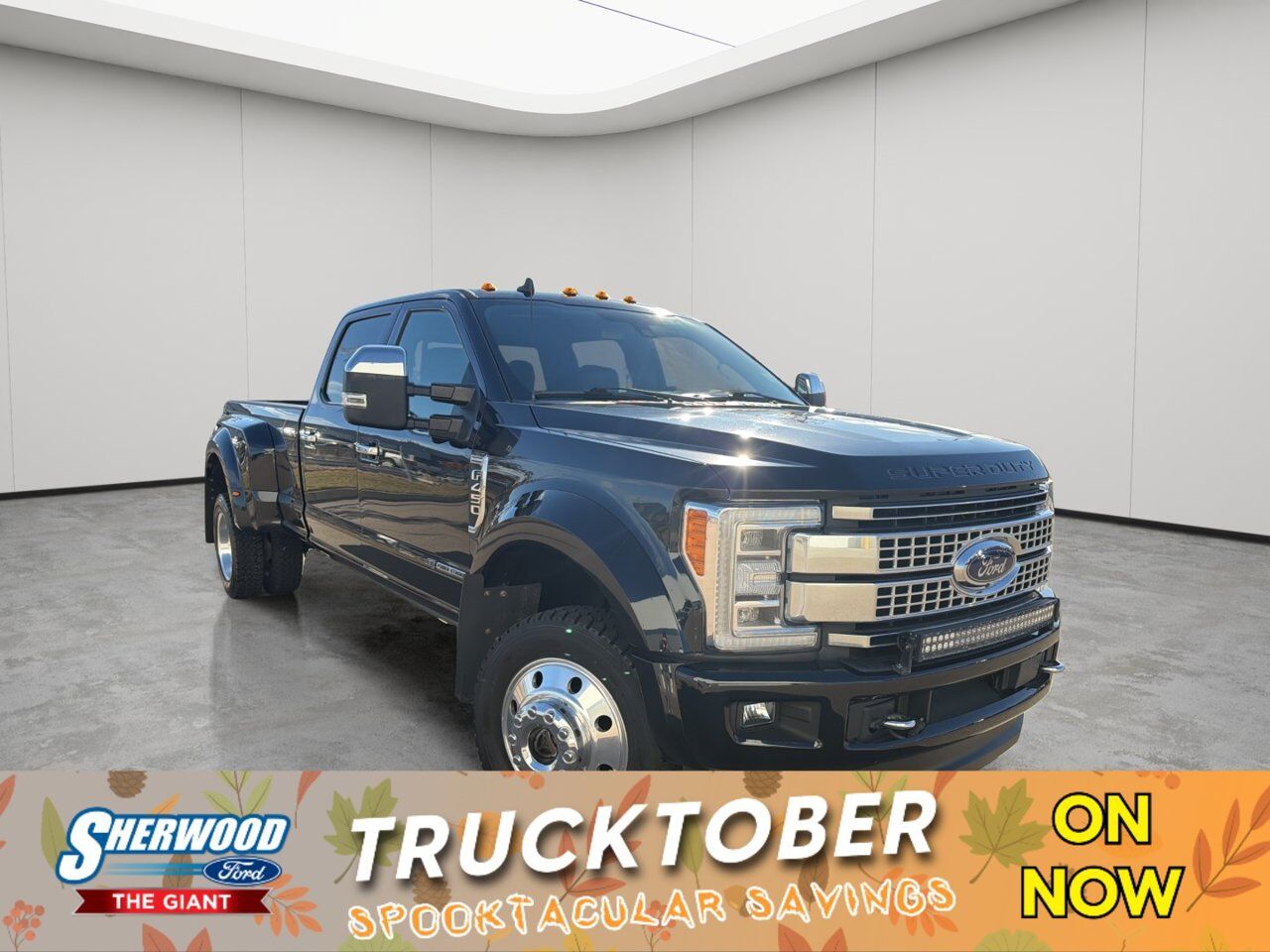 2019 Ford Super Duty F-450 DRW Platinum Sherwood Park AB