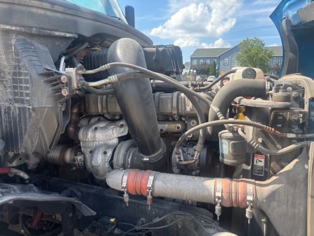 2019 Freightliner New Cascadia 126 . Seville OH