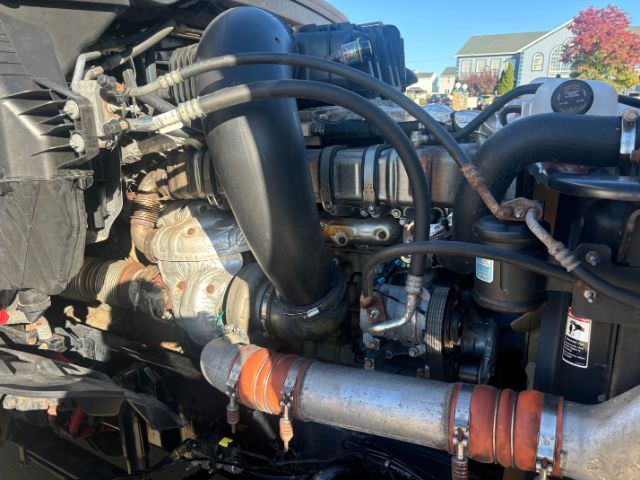 2019 Freightliner New Cascadia 126 . Seville OH