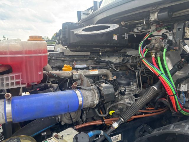 2019 Freightliner New Cascadia 126 . Seville OH