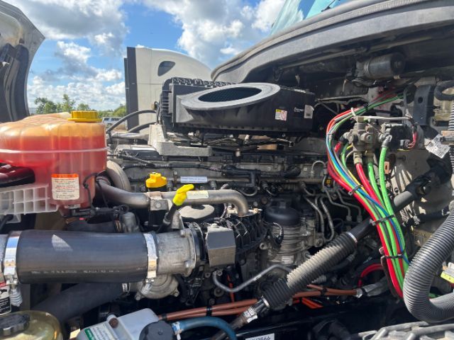 2019 Freightliner New Cascadia 126 . Seville OH