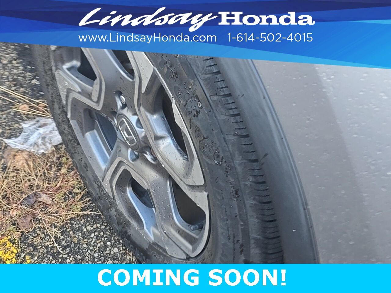 2019 Honda CR-V EX Columbus OH