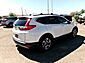 2019 Honda CR-V EX-L Apache Junction AZ