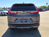 2019 Honda CR-V EX-L Oshkosh WI
