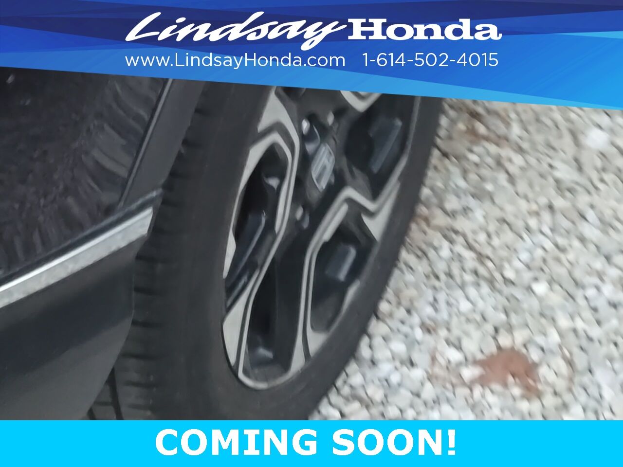 2019 Honda CR-V Touring Columbus OH