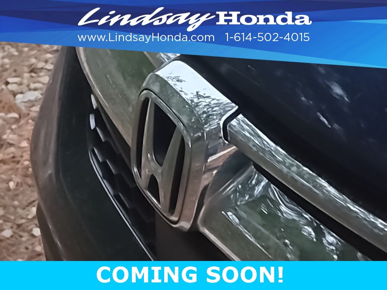 2019 Honda CR-V Touring Columbus OH