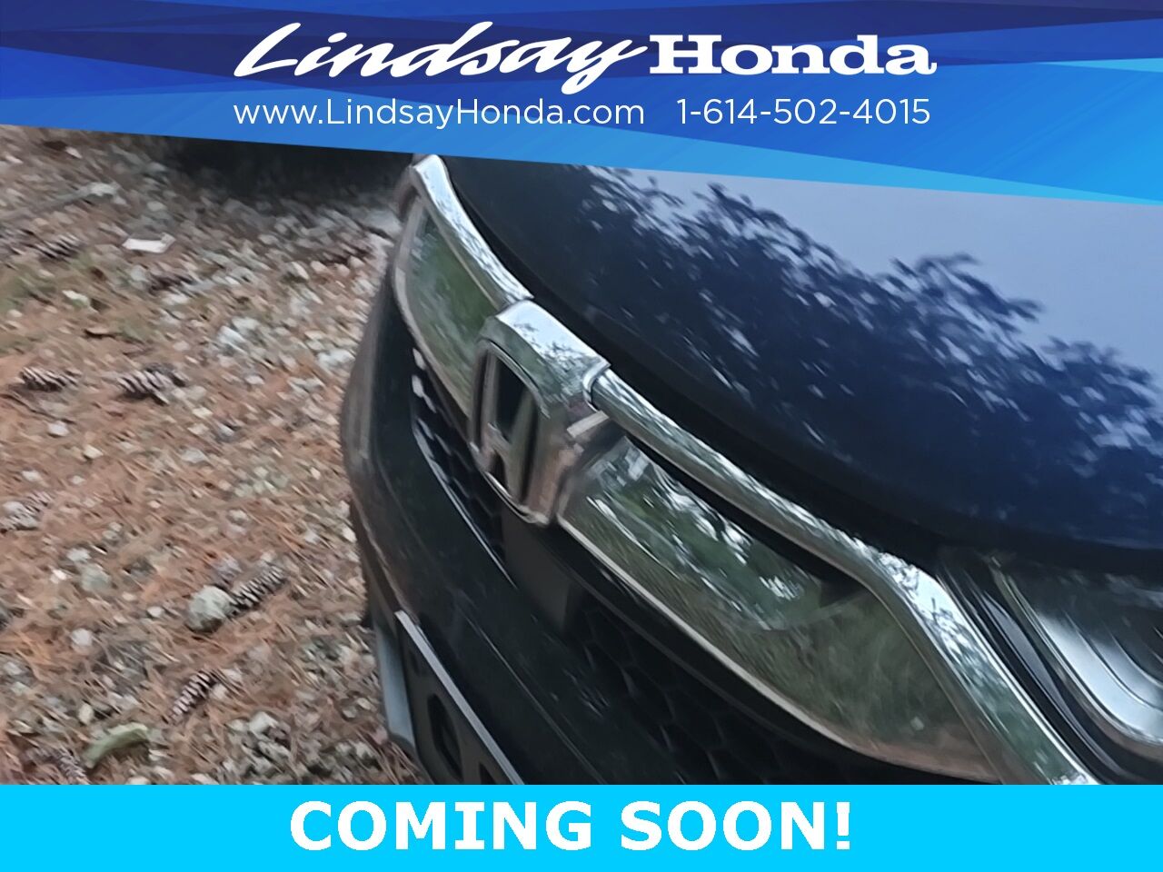 2019 Honda CR-V Touring Columbus OH