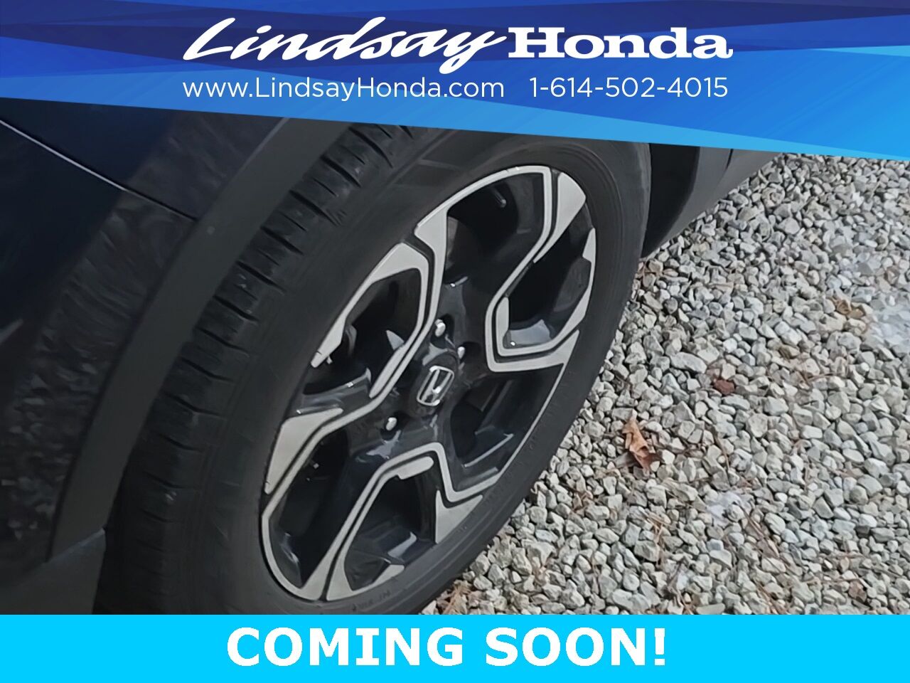 2019 Honda CR-V Touring Columbus OH