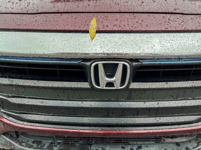 2019 Honda Insight EX Wilmington NC