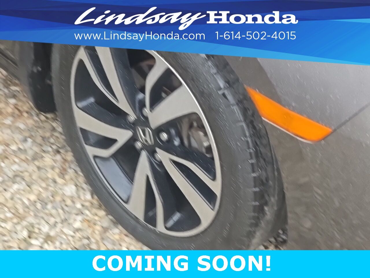 2019 Honda Odyssey Elite Columbus OH