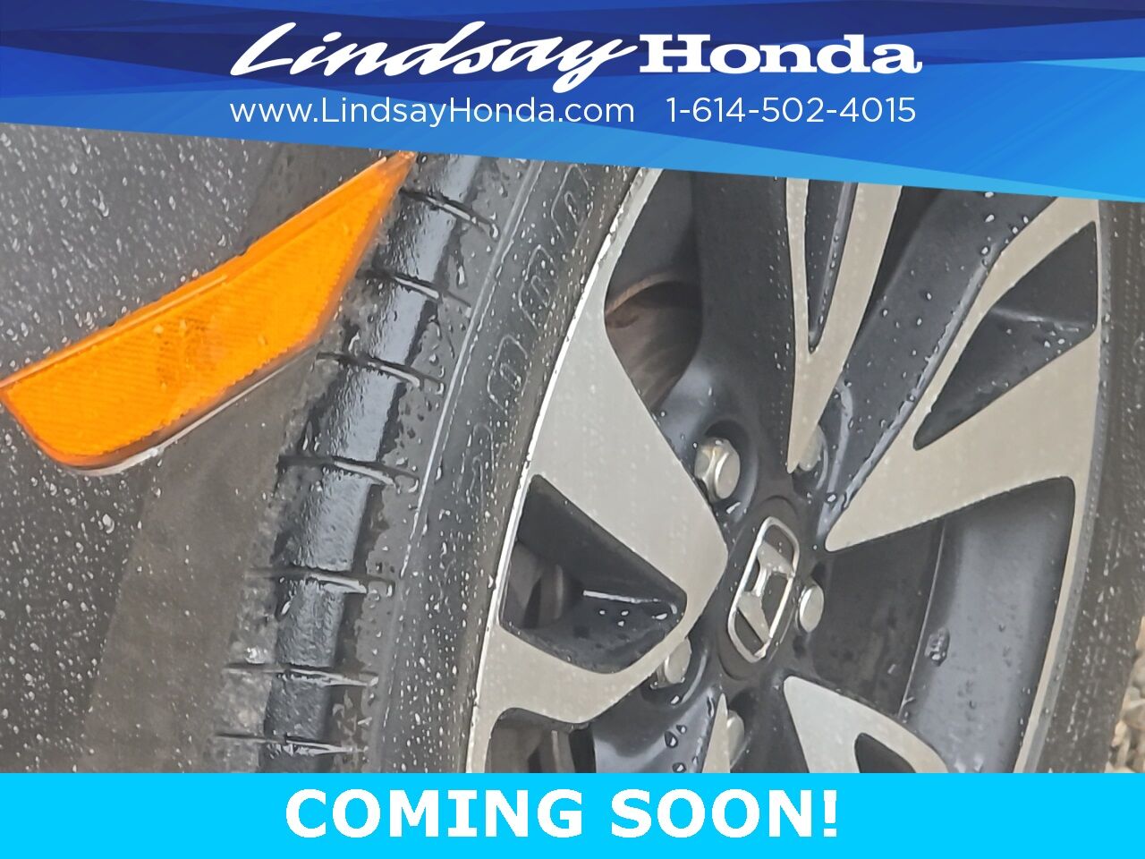 2019 Honda Odyssey Elite Columbus OH