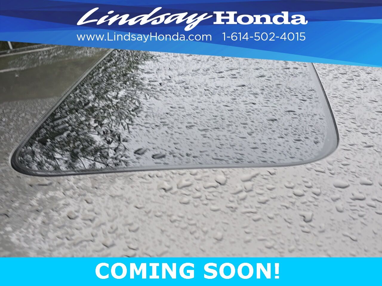 2019 Honda Odyssey Elite Columbus OH