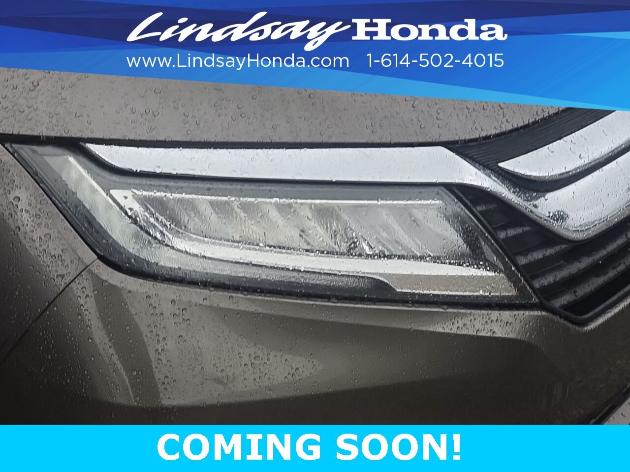 2019 Honda Odyssey Elite Columbus OH
