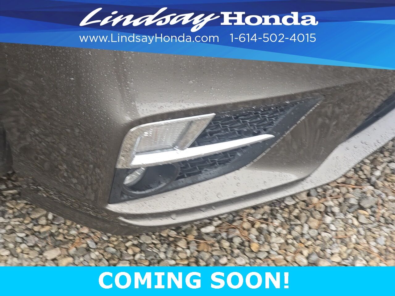2019 Honda Odyssey Elite Columbus OH