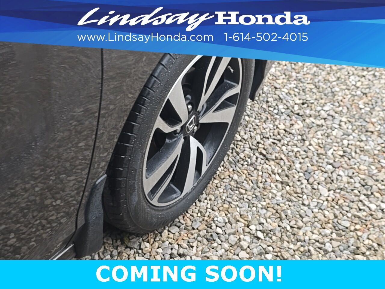 2019 Honda Odyssey Elite Columbus OH