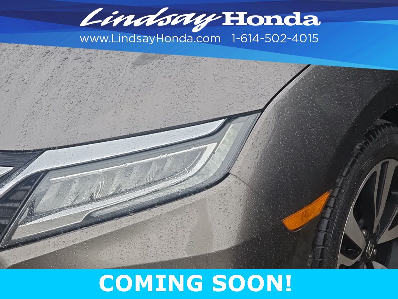 2019 Honda Odyssey Elite Columbus OH