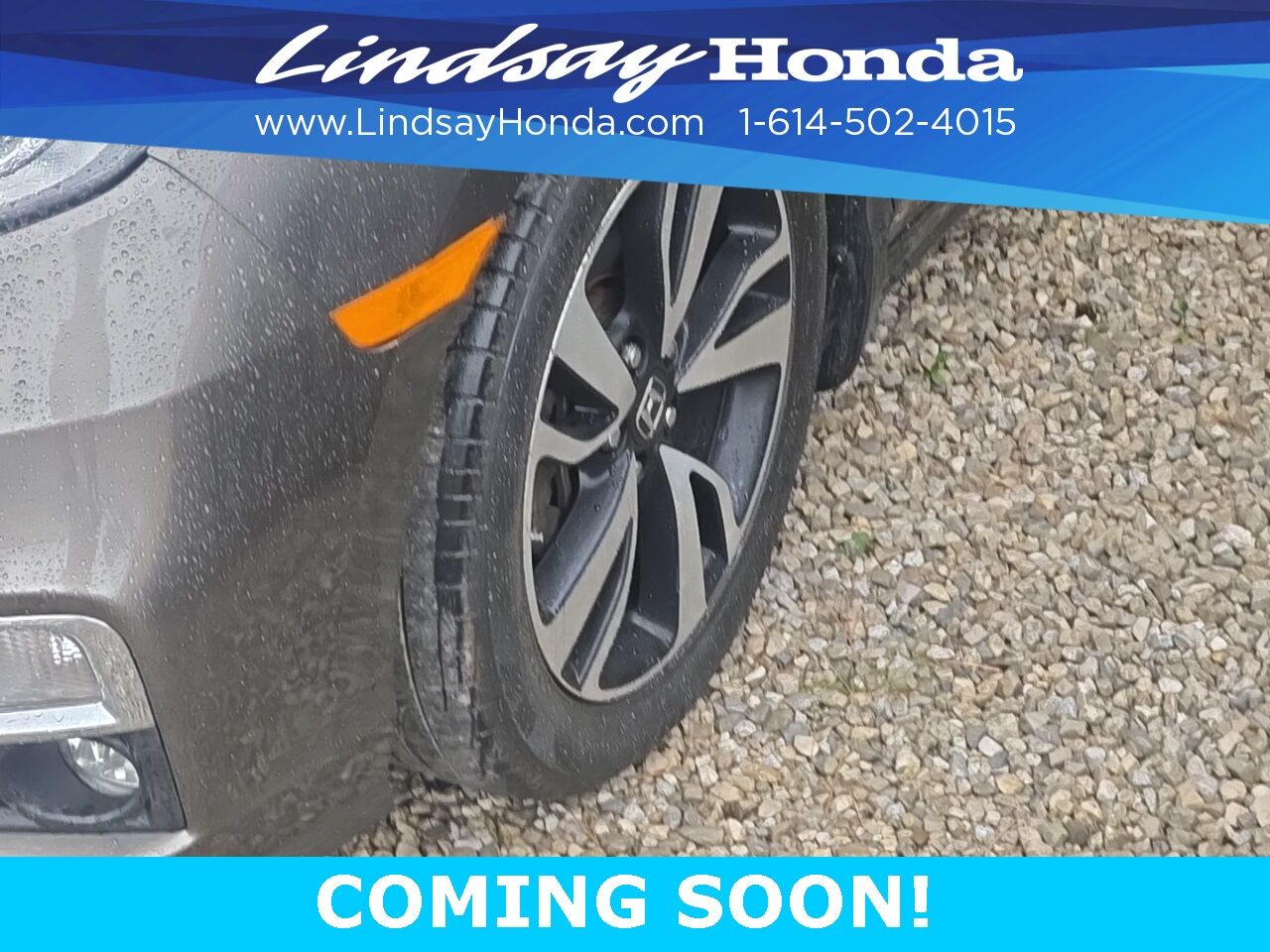2019 Honda Odyssey Elite Columbus OH