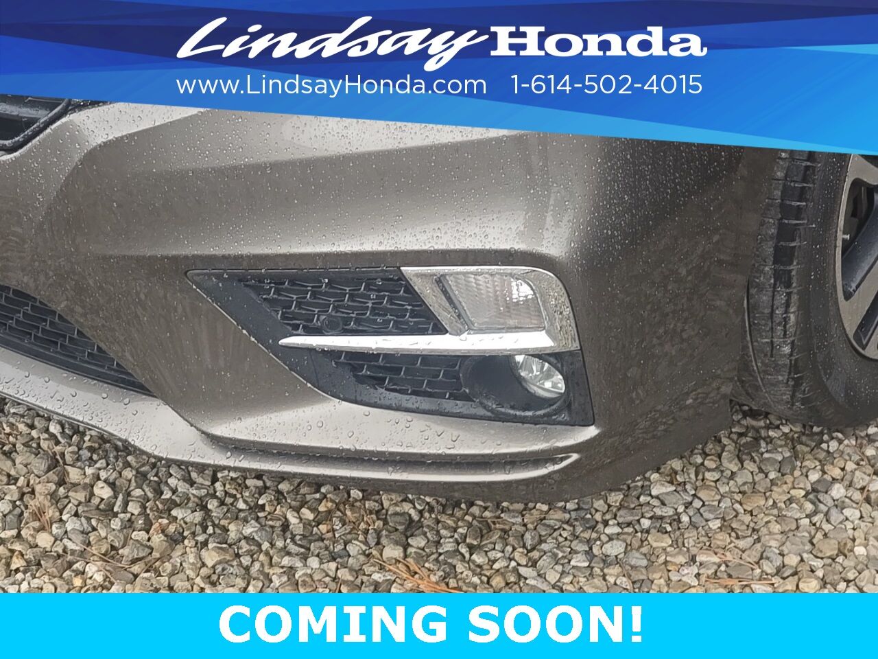 2019 Honda Odyssey Elite Columbus OH