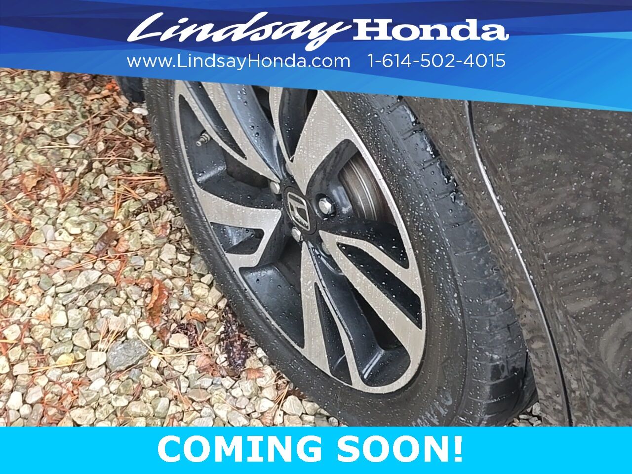 2019 Honda Odyssey Elite Columbus OH