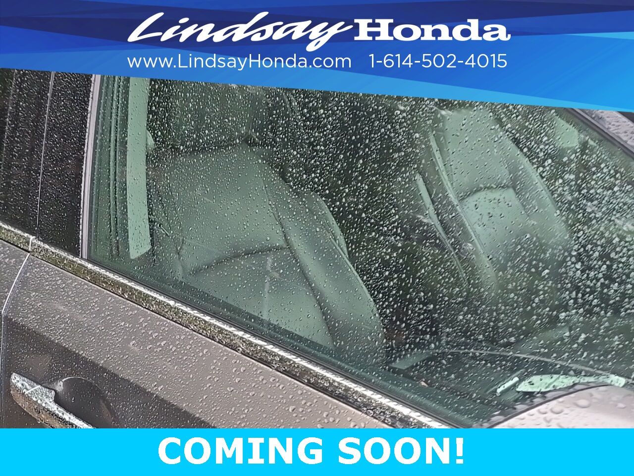 2019 Honda Odyssey Elite Columbus OH