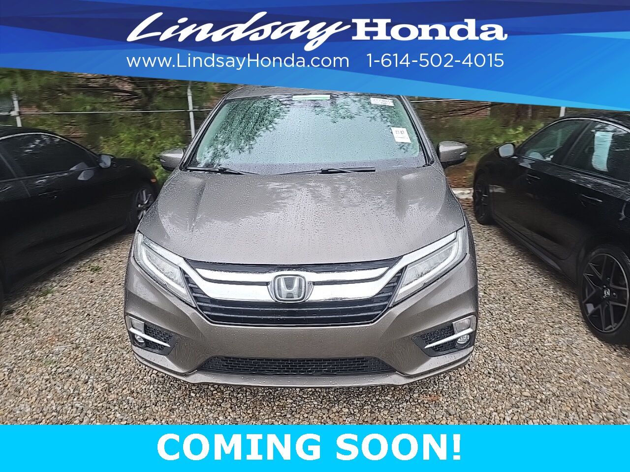 2019 Honda Odyssey Elite Columbus OH