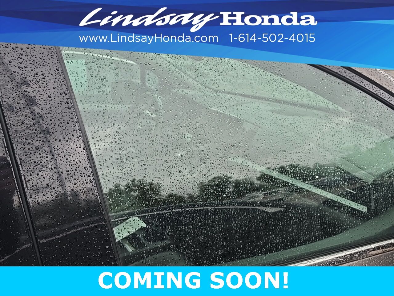 2019 Honda Odyssey Elite Columbus OH