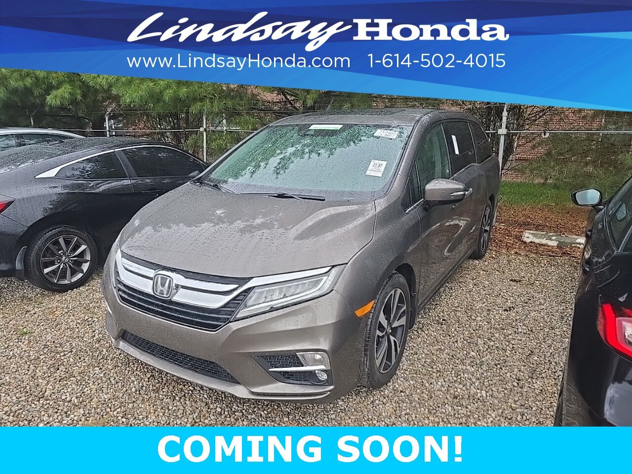 2019 Honda Odyssey Elite Columbus OH