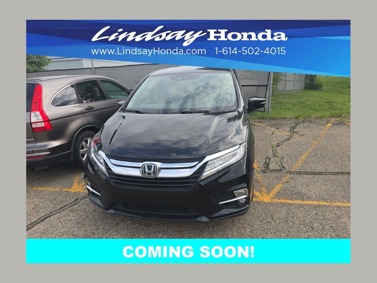 2019 Honda Odyssey Elite