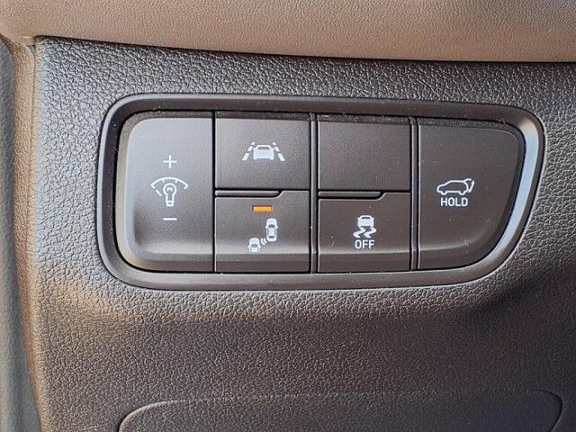 2019 Hyundai Santa Fe Limited  TX