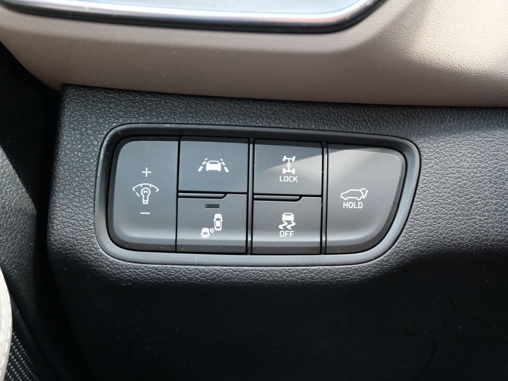 2019 Hyundai Santa Fe Luxury Mt Pleasant MI